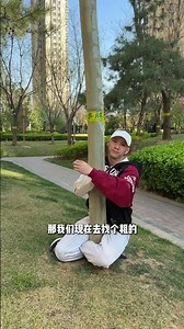 Mastering the Art of Meditation: The Challenges of Tree Pose Seated