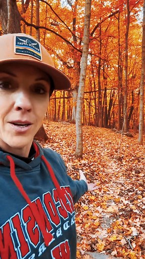 Fall Trail Cleanup at Blue Mounds State Park. Hike or ride, now’s the time! Please comment with other trail systems in Wisconsin that have also been cleared. 🍁 #mountainbiking #bluemoundsstatepark #hiking #trailworkonsinon | Trail To Sales Leia
