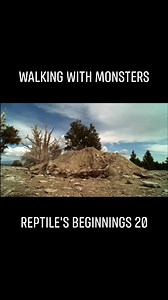 17K views · 583 reactions | Walking with Monsters | Life before Dinosaurs Episode 2 | Reptile's Beginnings Part 20 #lifebeforedinosaur #PrehistoricEarth #walkingwithmonsters | Prehistory, Nature and Science | Facebook