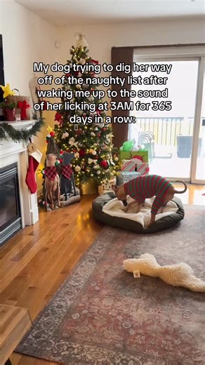 Raise your hand if you’ve been personally victimized by the sound of your dog licking this year 🙋🏼‍♀️😬 #NaughtyList #LifeWithDogs | bindisbucketlist