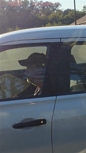 Gang Stalker Peeping Tom Alert