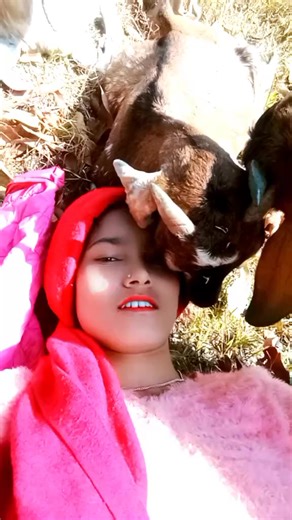 Axime Beli (@axime.beli)’s videos with original sound - KHEMAN