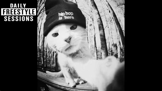 𝙃𝙞𝙥 𝙃𝙤𝙥 · 1 小时 Freestyle Beat | 日常即兴说唱练习伴奏【群岛Hip Hop珍藏辑】