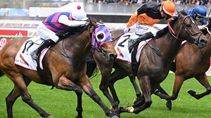 Hold All Tickets - 10 self-trumpeter votes | 'Champion' or not? | Best bet consensus