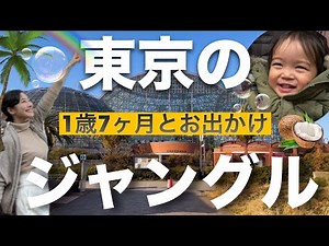 夢の島熱帯植物館は東京のジャングルだ！ #穴場 #子供とお出かけ #高齢ママ