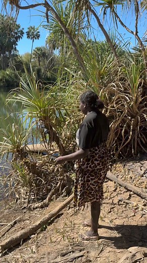 2.7K views · 82 reactions | What does Healthy Country mean to you? Featuring Mangarrayi mob from the Roper River️列 | Jawoyn Association | Facebook