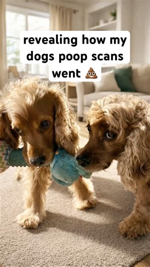 we scanned my dogs poop with the BooBoo Buddy app 💀