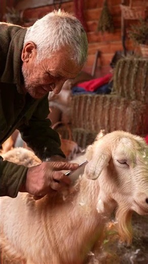 From Raw Goat Cashmere to Luxury Sweaters #shorts #factoryprocess #factoryproducts