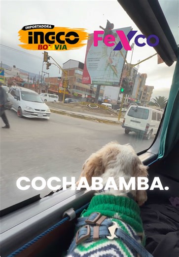 Ya estamos en COCHA @PAPUCHIN @Brandon Puña @Lizandra Jhudyth @INGCO LA PAZ BOLIVIA @INGCOBOLIVIA CENTRAL EL ALTO @INGCO BOLIVIA SCZ #ingco #bolivia🇧🇴 #cochabamba_bolivia🇧🇴 #fexco #papuchin