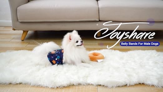 03734abc0461491081f462861bc4a7bb