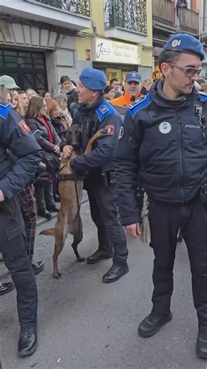 A dog serving humanity, a hero. | Explore Earth