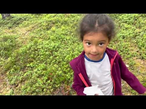 comment bien faire Caca dans la nature en laissant l’endroit propre!!!