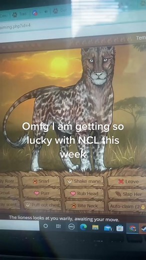 This is the 3rd one this week! #lioden #lion #liodentok #fyp #liodengame #liodenlions #Newlyclaimedlionesses