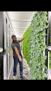 225 reactions · 39 shares | Hear this Freight Farmer's inspiring story of how he turned his dreams of owning a hydroponic farm into a reality during our upcoming event. | Freight Farms | Facebook