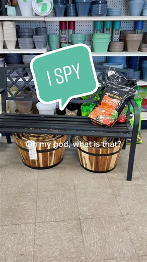 Mystery Finds at Shoppers Hardware