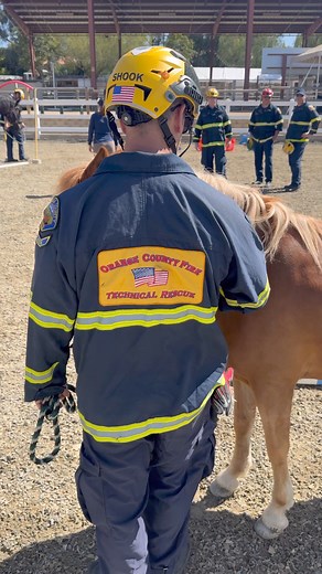 12K views · 248 reactions | Large animal rescue training has come to...