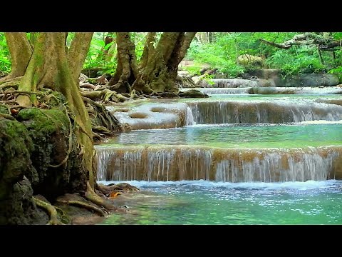 Calm Babbling Brook Sounds for sleeping disorder (10 hours)