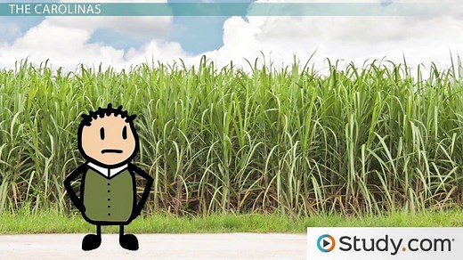 The Southern Colonies | History & Overview