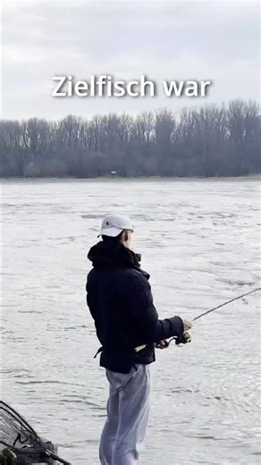POV: Hänger am Rhein 🎣 #angeln #rhein #zander #gummifisch