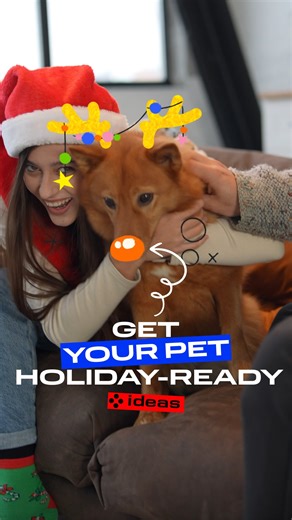 Movavi | Video-Editing Apps and Tips on Instagram: "All it takes to dress up your pet for the holidays is two stickers – and hey presto, your video is instantly cuter 🎄 Follow @movavi_ideas and don’t miss out on new ideas every week! ⚡️ #holiday #petotfit #petsagram #christmasmood #cutepet #videotipsforbeginners #contentcreatortips #videoediting #tracking #videocreators"
