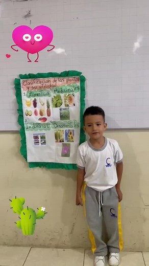 Clasificación de las Plantas y Su Utilidad Educativa