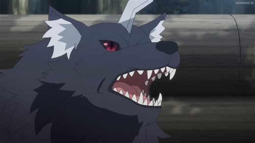 WTF THIS SPIDER IS SO CUTE they remind me of rocky from project hail mary LMAO