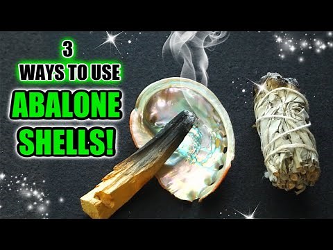 ✨ 3 WAYS TO USE ABALONE SHELLS 🔮 MANIFESTATION, CLEANSING & MORE!✨