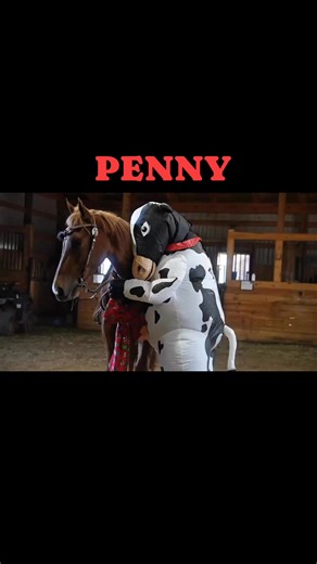 🎁 PENNY 🎁 15.2HH | 3YO | Registered TWH Mare Trail safe. Lesson safe. Family friendly. Rides great alone or in a group and has the mind to go from rail to trail with ease. 👉 Bid or Buy Now: https://classichorseauction.com/auctions/registered-tennessee-walking-horse-mare-penny/ 📍 Leasburg, NC 📦 Nationwide shipping available | Classic Horse Auction