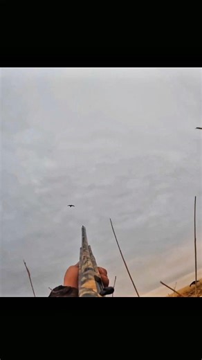 From aim to impact in seconds! 🦆🔥This is real duck hunting action.#HuntingLife #DuckShot #Short