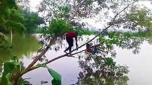 Best Funny Viral Video 2018_Funny Video Clip_Try not to laugh