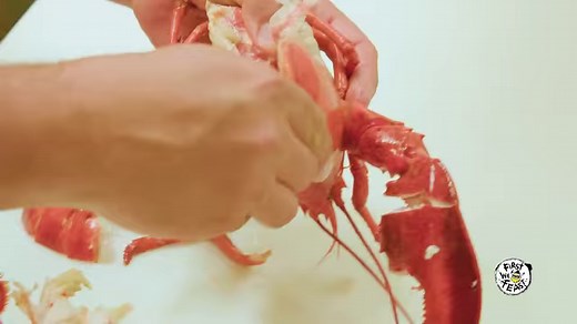 37K views · 156 reactions | Eating lobster is not for the faint of...
