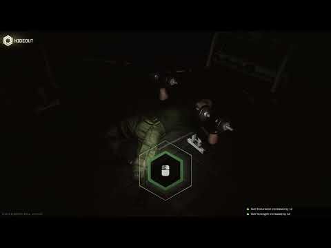 tarkov gym exploit