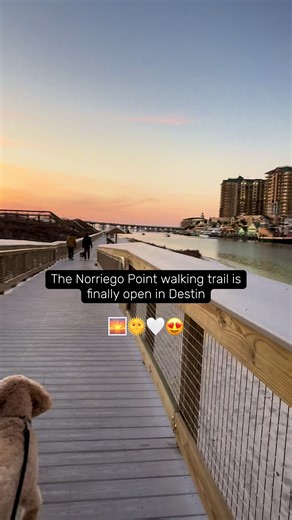 Such a beautiful spot to walk and watch sunsets 😍😍😍 and dog friendly!! #destin #destinflorida #panhandle #foryoupage #beach