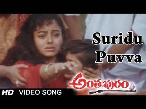 Anthapuram Movie | Suridu Puvva Video Song | Sai Kumar, Jagapathi Babu, Soundarya