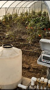 150K views · 2.2K reactions | En un sistema de riego automático para...