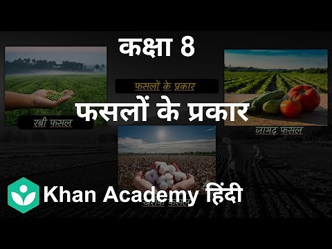 Types of Crops Kharif and Rabi [Hindi] | Crop Production | Grade 8th | Science | Khan Academy