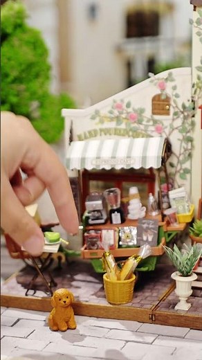 Rolife Aromatic Coffee Cart and Vienna Bookstore DIY Miniature House #rolife