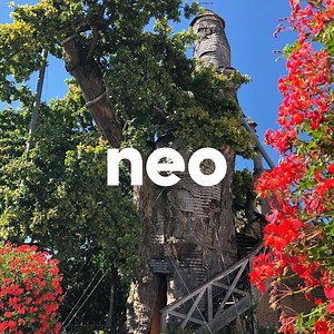 Âgé de 1 200 ans, voici le plus vieux chêne de France et d'Europe ! 🌳 | Neo