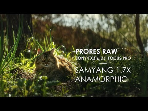 Samyang 1.7x Anamorphic Adapter | Sony FX3 & Dji Focus Pro | Prores Raw day footage