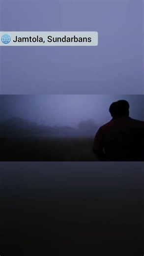 Fog & Mist at Dawn | The Sundarbans