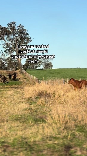 Understanding Livestock: A Look into Agriculture and Cattle Farming