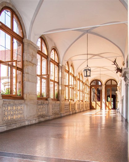 Zámek Nelahozeves je otevřený už jen do 2. listopadu 2025.Navštivte renesanční perlu a užijte si dokonalou podzimní atmosféru! 🏰🪁 Zámkem vás díky unikátnímu audioprůvodci provedou členové samotné rodiny Lobkowiczů, kteří zde již po staletí sídlí a pro rodiny s dětmi máme přichystány speciální dětské prohlídky každou sobotu ve 14:30. Nenechte si ujít možnost ještě letos vidět zámek Nelahozeves v podzimním hávu. Zámek je pro vás otevřen út-ne, 9:00-17:00 Více informací najdete zde: https://www.l