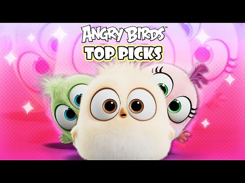 Angry Birds Top Favorite Picks 🤩