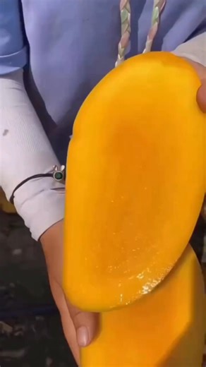 Mango Cutting Like a Pro! 🥭#mango #mangorecipe #mangojuice #asmr #relaxing