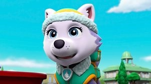 PAW Patrol: Volume 6 Episode 9 Pups Get Skunked/Pups and a Whale of a Tale