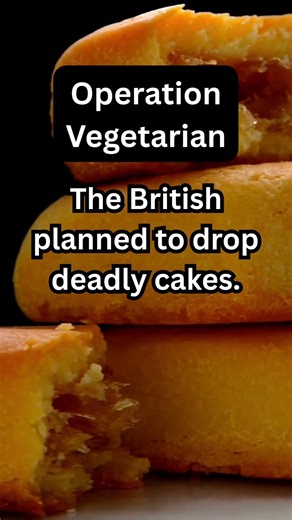 Anthrax Infected Cattle