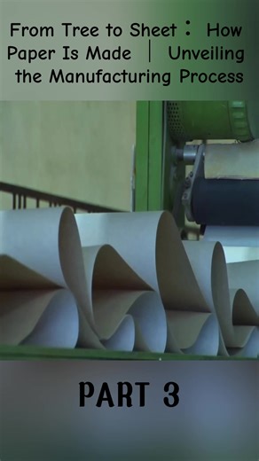 From Tree to Sheet： How Paper Is Made ｜ Unveiling the Manufacturing Process