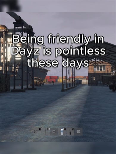 Understanding Player Interactions in DayZ