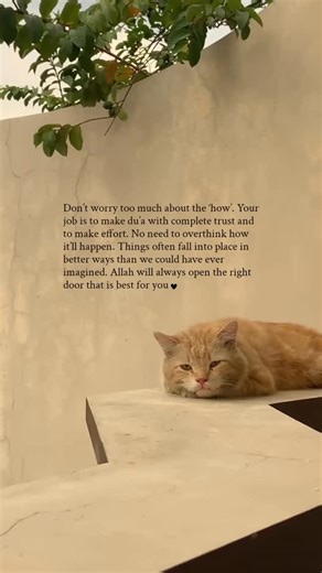 ‎فاطمہ منور‎ on Instagram: "Don’t worry too much about the ‘how’. Your job is to make du’a with complete trust and to make effort. No need to overthink how it’ll happen. Things often fall into place in better ways than we could have ever imagined. Allah will always open the right door that is best for you. #explore #explorepage #fyp #reels #aesthetic #trending"