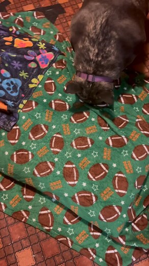 Jessica Douglas on Reels